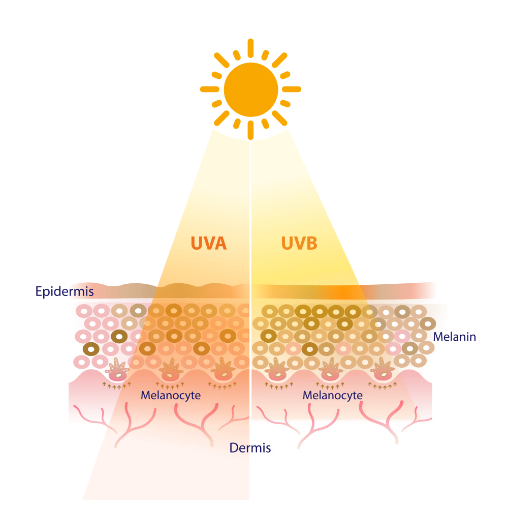 uav uvb poveikis odai